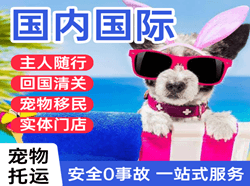 重庆仙女山国际宠物托运 【国